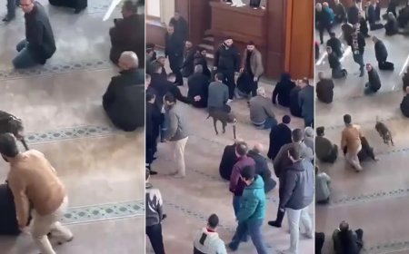 Cuma vaazı sırasında camiye pitbull girdi