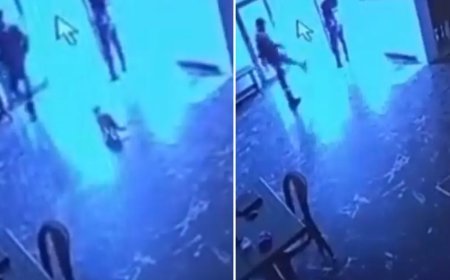 Belediye görevlisi salona giren kediye tekme attı