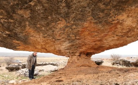 6 milyon yıl önceye ait. Diyarbakır'da kalıntısı ortaya çıktı