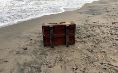 Samsun'da sahile, üzerinde Rusça yazılar olan sandık vurdu