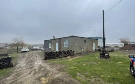 Şanlıurfa'da aile katliamı. Eşini ve oğlunu öldürdü