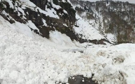Artvin'de çığ düştü. "Çobanlar altında kalmış olabilir"