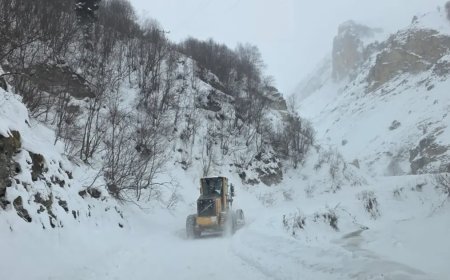 Artvin'de çığ düştü. Üç çoban aranıyor