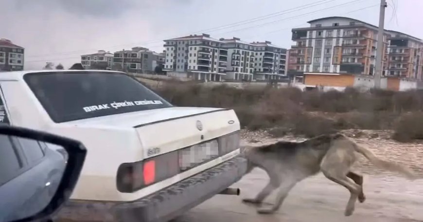 Köpeği aracın arkasına bağlayarak eziyet etti