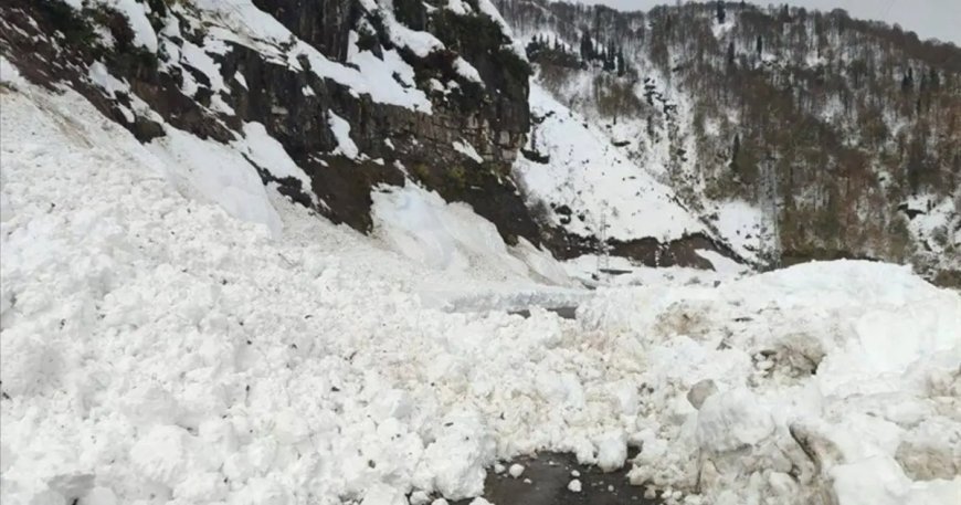 Artvin'de çığ düştü. "Çobanlar altında kalmış olabilir"