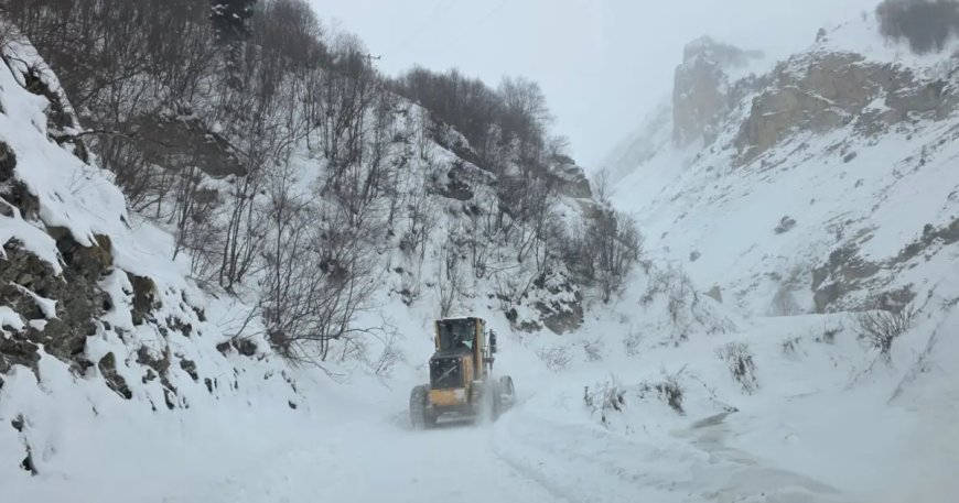 Artvin'de çığ düştü. "Üç çoban aranıyor"