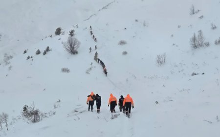 Artvin'de çığ felaketi. Kayıp çobanlardan birinin daha cansız bedeni bulundu