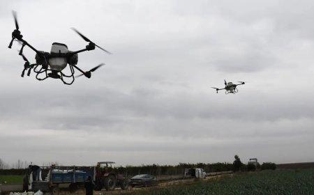 Mersin'de ekimler dronla yapılıyor, iş gücünden ve üründen tasarruf sağlanıyor