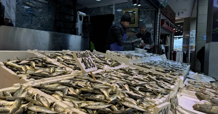 Tezgahta en çok bulunan balık. 100 liradan satışta