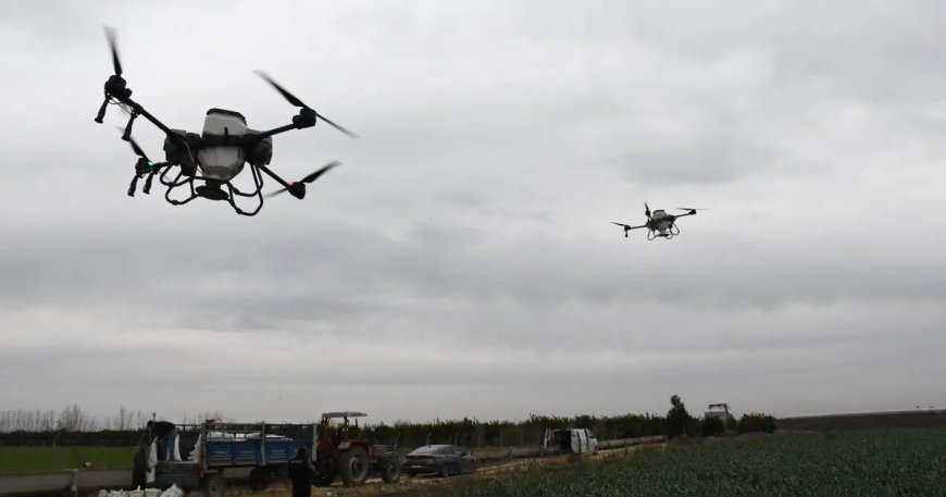 Mersin'de ekimler dronla yapılıyor, iş gücünden ve üründen tasarruf sağlanıyor