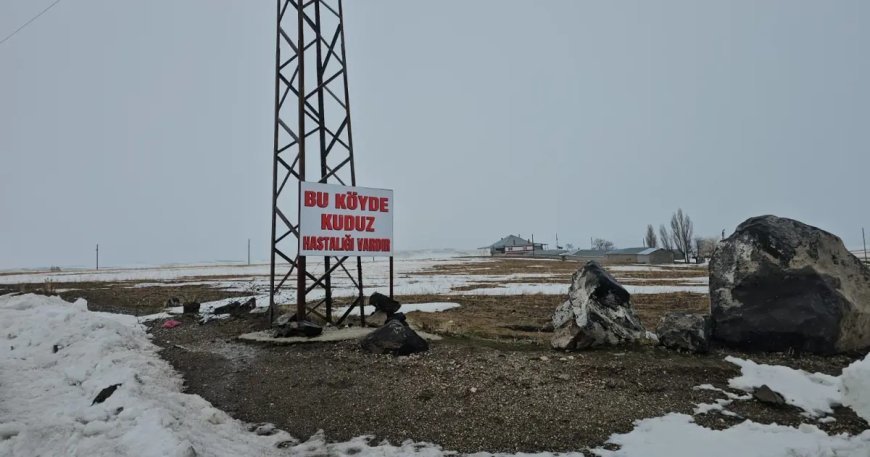 İlçe merkezine 33 kilometrede kuduz alarmı. Bir köy karantinada, giriş çıkışlar yasaklandı