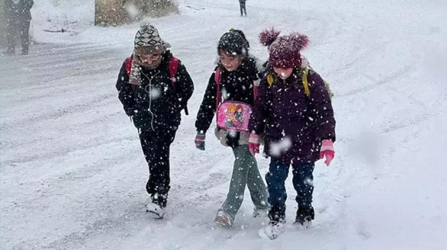 Ordu'da eğitime kar engeli! Valilik duyurdu