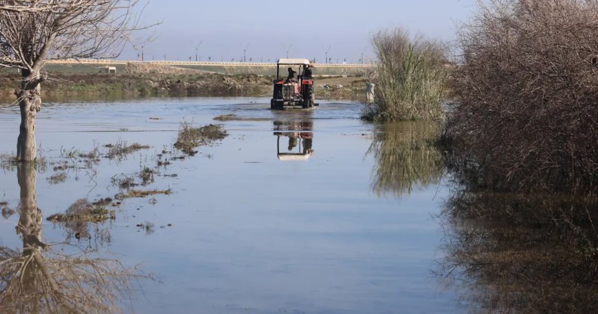 Son 65 yılın en kurak yılını yaşamışlardı. Şimdi de aşırı yağış vurdu "Tarlalarımız su içinde kaldı"