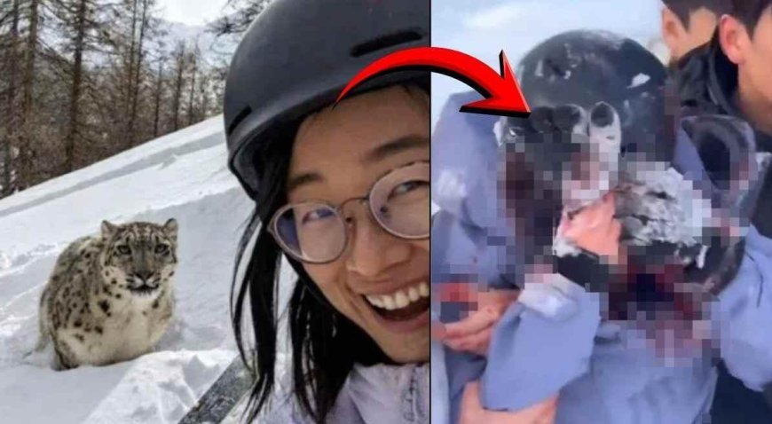 SON DAKİKA HABERLER: 'Selfie' uğruna yüzü paramparça oldu! Mucize kurtuluş