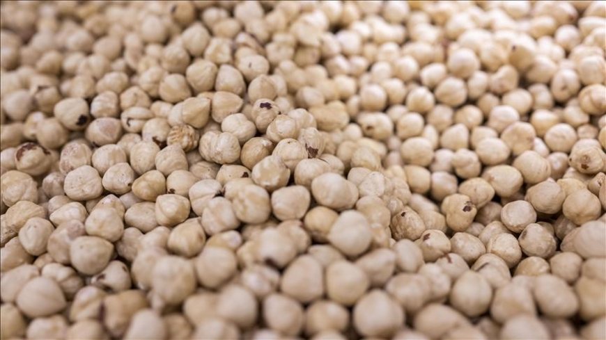 Doğu Karadeniz'den yapılan ihracat 125,5 milyon doları aştı