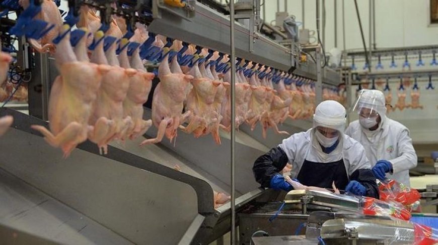 ‘Zarar içeriden fiyat düşmez’