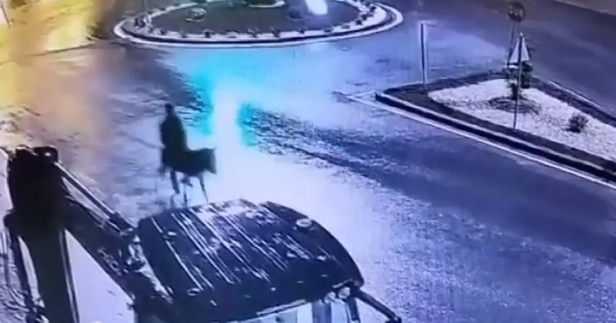 Forkliftle soyup eşekle kaçtı!