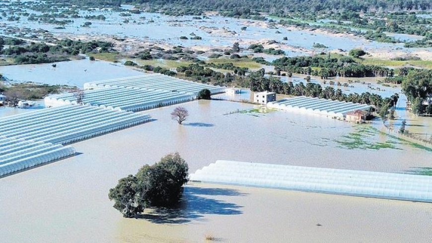 Buğday, arpa, kışlık sebzeler zarar gördü: Sağanak, tarım alanlarını vurdu