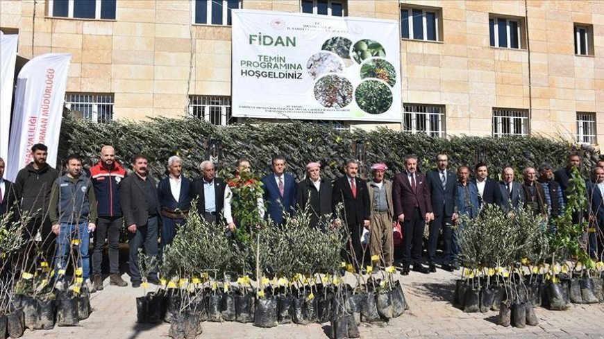 Şırnak'ta çiftçilere 25 bin 200 meyve fidanı dağıtıldı