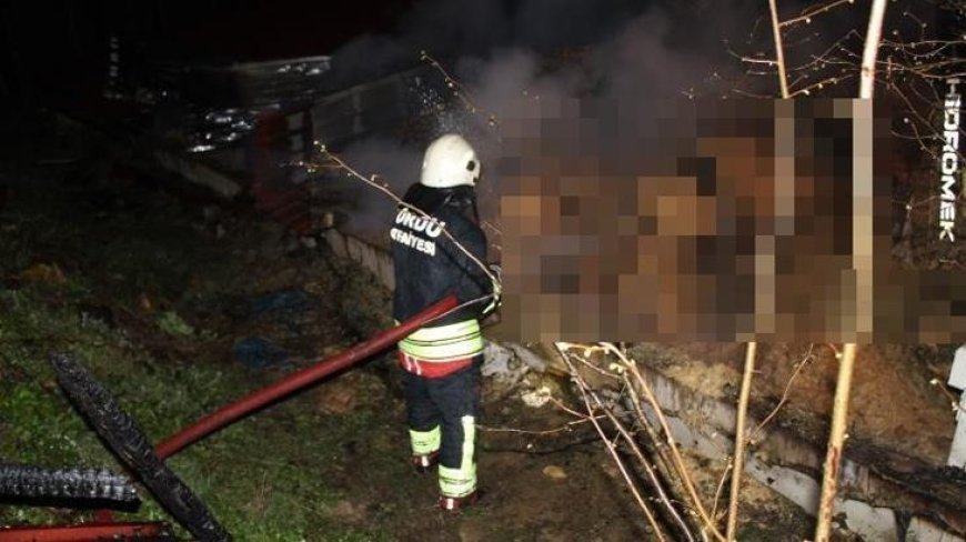 Ordu’da ahırda feci yangın! 27 büyükbaş hayvan telef oldu
