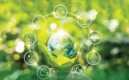 Yeşil sanayide AR-GE ve yenilik projelerine 1,5 milyar liralık bütçe