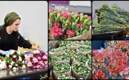 Türkiye'den Dünya Kadınlar Günü için 35 ülkeye 80 milyon dal çiçek