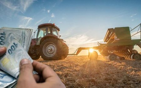 Çiftçiye 12 milyar 311 milyon liralık destek! Bakan Yumaklı tarih ve saat verdi