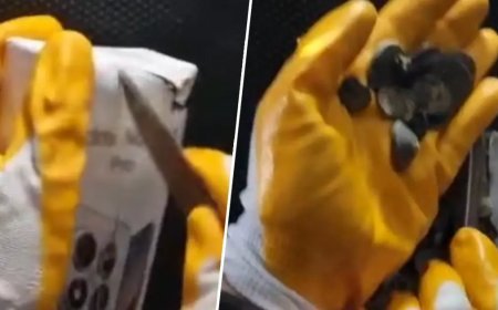 Gümrükte operasyon. Türkiye'den kaçırılmak üzereyken yakalandı