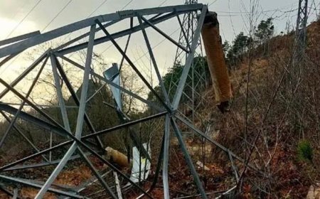 Vinç kiralayıp, gerilim hattı kablolarını çaldılar