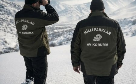 Aladağlar'da yasa dışı avlanan kişiye 984 bin TL ceza