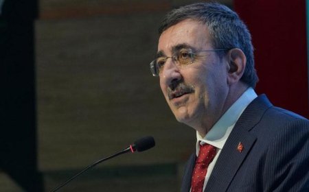 Cumhurbaşkanı Yardımcısı Yılmaz: Bölgemiz savaşlardan çok çekti