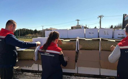 Tekirdağ'da baklavada kullanılacak 2 ton aflatoksinli fıstık ele geçirildi