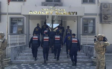 Aydın'da dehşet! Arazi anlaşmazlığı nedeniyle annesini öldürdü