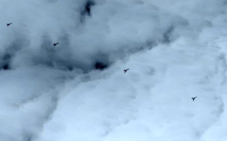 Baykar’dan yeni güç: K2 Kamikaze İHA sürü halinde uçtu