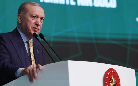 Cumhurbaşkanı Erdoğan: Türkiye krize çözüm arıyor