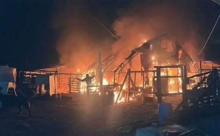 Bursa'daki çiftlikte feci yangın! 580 hayvan öldü