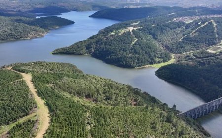 Baraj doluluk oranlarında son durum 23 Mart: İstanbul barajları ne kadar dolu? (İSKİ güncel baraj doluluk oranı)