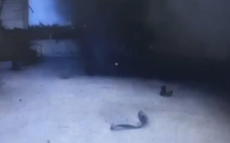 Tekirdağ'da yağ fabrikasındaki patlamanın görüntüleri ortaya çıktı