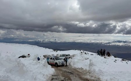 Ağrı'da kaybolan kadın dağcı için arama çalışması başlatıldı
