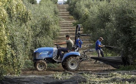 İspanya, çatışmaların etkilerine tedbir olarak tarım ve hayvancılığı destekleyecek