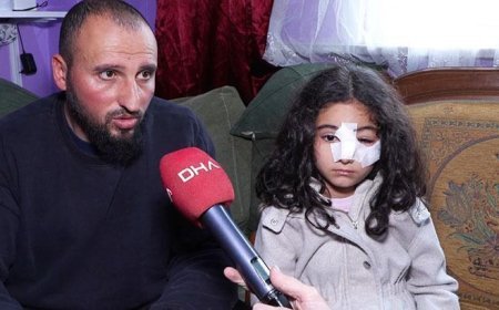 İstanbul'da sokak köpeği kabusu: Çocuklarımızı tek başına evden çıkaramıyoruz