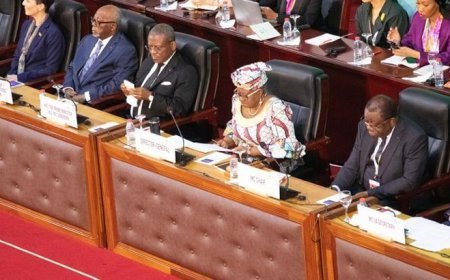 Dünya Ticaret Örgütü uyardı! 'Dünya düzeni geri dönülmez biçimde değişti'