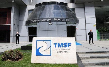 TMSF dört ticari ve iktisadi bütünlüğü satışa çıkardı