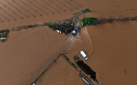 Sel alarmı! Gediz Nehri taştı; tarım arazileri, bahçeler sulara gömüldü