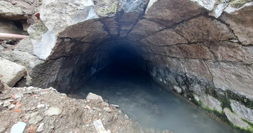 Türkiye'de bir örneği daha yok. Trabzon'da ortaya çıktı, uzmanlar da şaşırdı