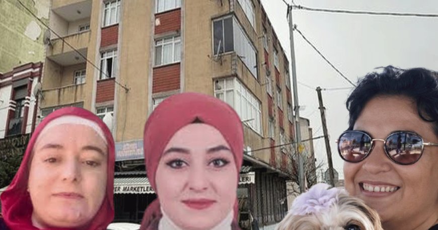 Kadın cinayetlerinde acı bilanço. Geçen yıl 294 kadın katledildi