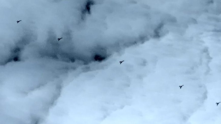 Baykar’dan yeni güç: K2 Kamikaze İHA sürü halinde uçtu