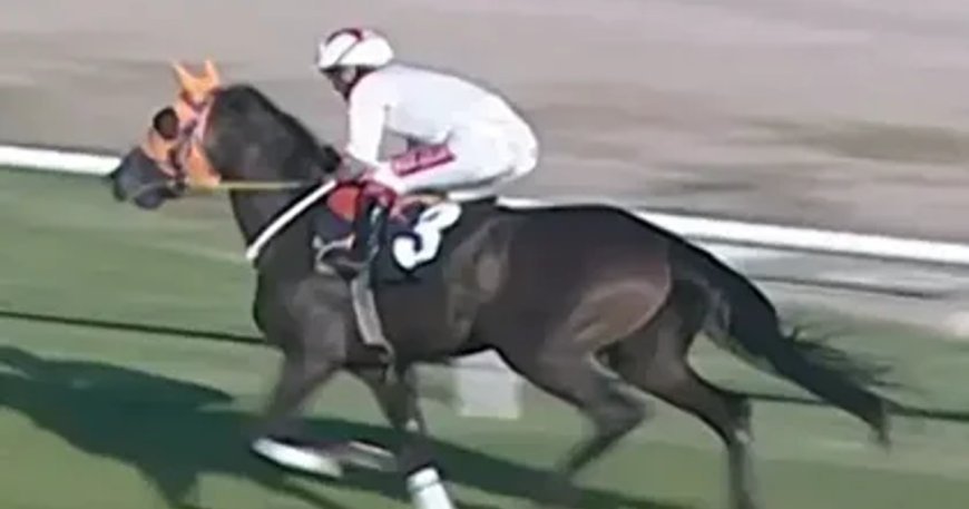 Kavurma yapılan at İngiliz basınında. Sahibi de duruma üzgün