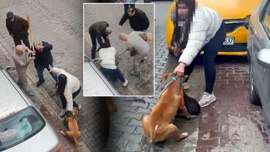 Pitbull dehşeti sonrası yeni görüntüler! Köpek sahibi müdahaleye engel oldu