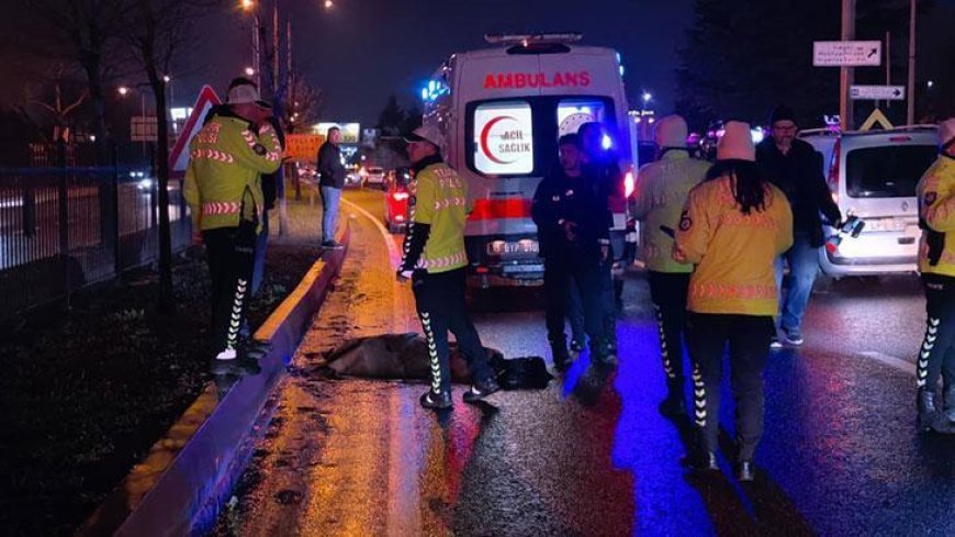 Bursa'da otomobilin çarptığı yaya hayatını kaybetti